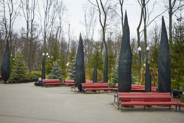 Muchas plantas en el parque están cubiertas con material especial, preparando plantas para la invernada, protegiendo el medio ambiente — Foto de Stock