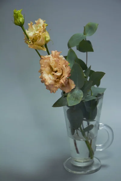 Delicate bouquet of eustoma and eucalyptus in a glass vase on a light gray background, selective focus — Stock Photo, Image