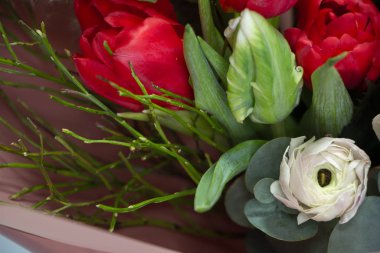 Güzel yaz buketinin parlak renkleriyle detaylandırılmış hali, gri fon, seçici odak