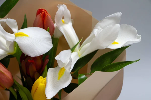 Dettaglio Primo Piano Fresco Bouquet Primaverile Tulipano Iride Rusco Fondo — Foto Stock