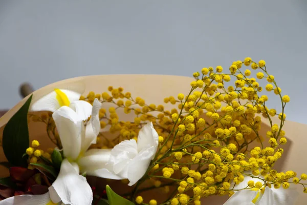 Dettaglio Primo Piano Bouquet Primaverile Rusco Leucadendro Leucosperma Iride Cotone — Foto Stock