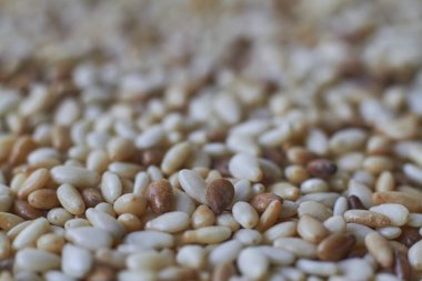 Son derece yakın yemek arkaplan susam tohumları Değişik derecelerde kızartma, seçici odak