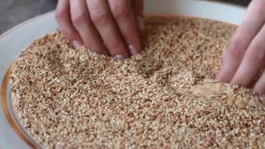 Yakın plan kadın elleri farklı kavrulmuş susam tohumlarını ayırıyor, kadın tabağa susam tohumu döküyor, seçici odaklanma.