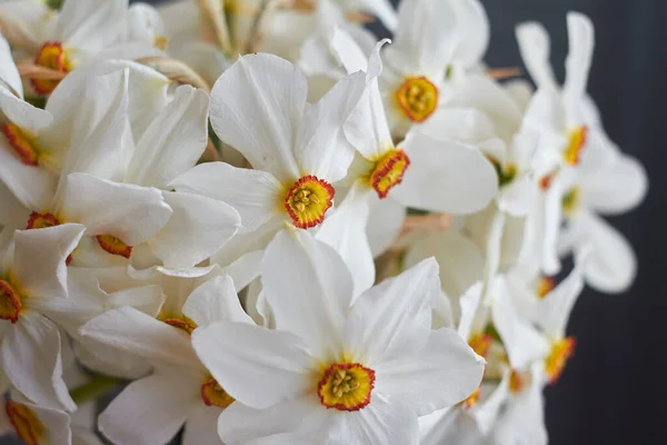 Bouquet Primo Piano Estremo Molti Narcisi Bianchi Vaso Vetro Sul — Foto Stock