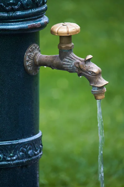 Gros Plan Colonne Ancienne Avec Eau Potable Dans Parc Public — Photo