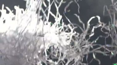 Parti de kağıt göstermek