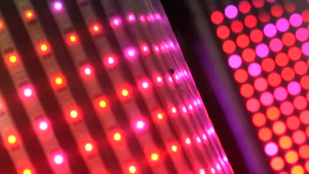 LED lights flicker in the dark — Stockvideo