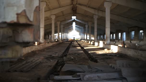 Construcción destruida granjas ganaderas — Vídeo de stock