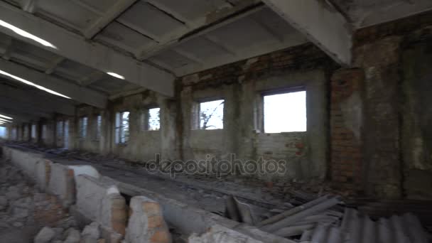 Vieux animaux de ferme en ruine — Video