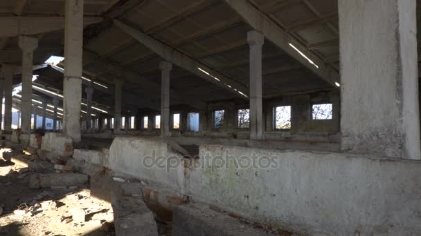 Vieux animaux de ferme en ruine — Video