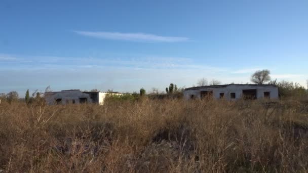 Vieux animaux de ferme en ruine — Video