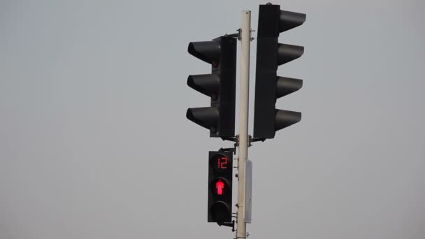 Verkeerslichten op het kruispunt — Stockvideo