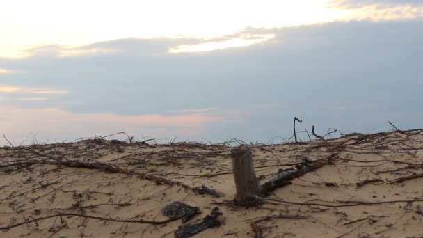 Nubes negras sobre la localidad del desierto — Vídeos de Stock