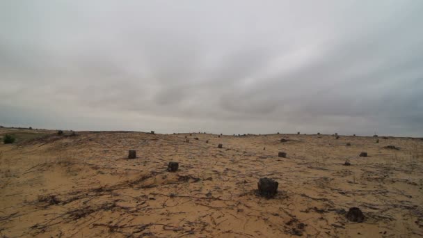 Černé mraky nad pouštní lokalitě — Stock video