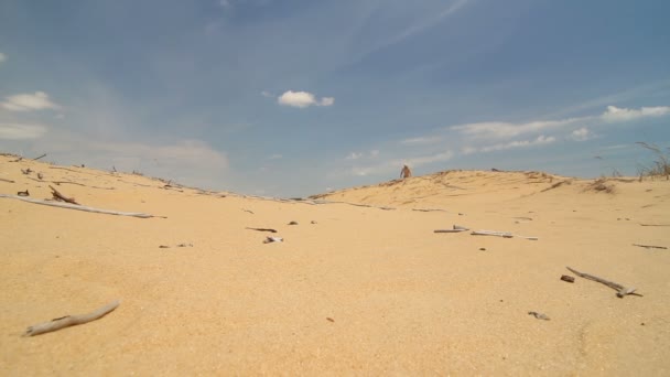 Un hombre camina por el desierto — Vídeo de stock