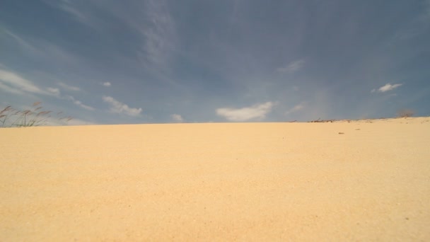 Человек ходит по пустыне. — стоковое видео