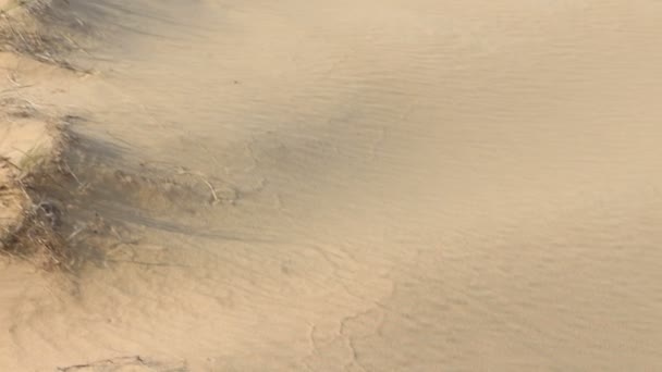 Um homem caminha pelo deserto — Vídeo de Stock