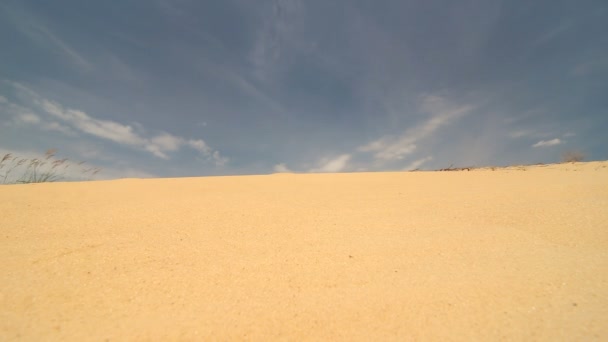 Um homem caminha pelo deserto — Vídeo de Stock