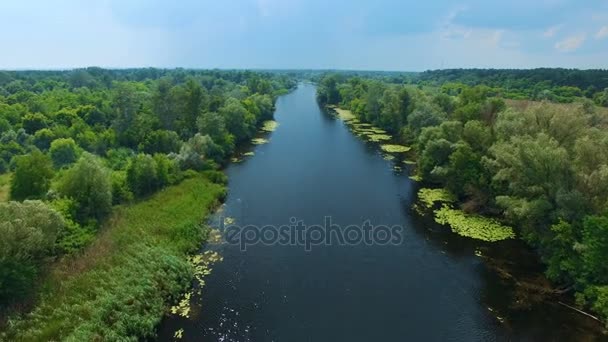 Drones volants au-dessus de la rivière — Video