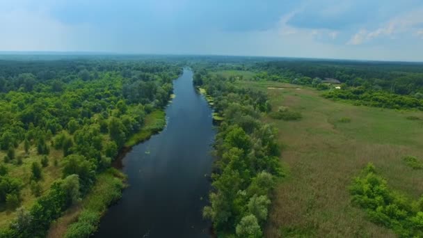 Drones voladores sobre el río — Vídeo de stock