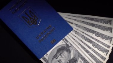 Para ve pasaport masada