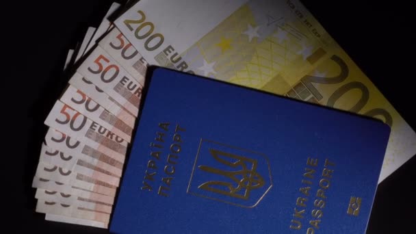 Pieniądze i paszport na stole — Wideo stockowe