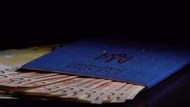 Money and passport on the table — Stock Video