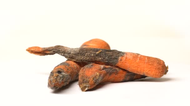 Гнилая морковка на белом фоне — стоковое видео