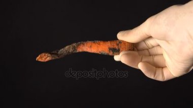 Çürük havuç elini tuttum