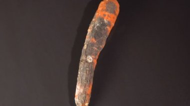 Siyah zemin çürümüş havuç