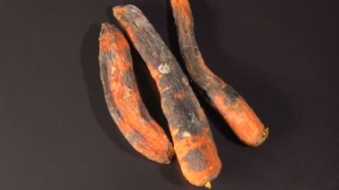 Siyah zemin çürümüş havuç