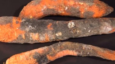 Siyah zemin çürümüş havuç