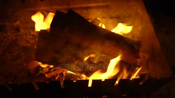 Burning wood in a brazier — Stock Video