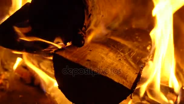 La quema de madera en un brasero — Vídeos de Stock