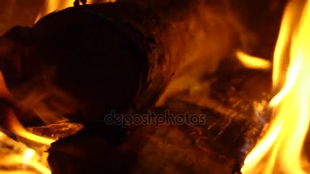 Καύση του ξύλου σε ένα μαγκάλι — Αρχείο Βίντεο
