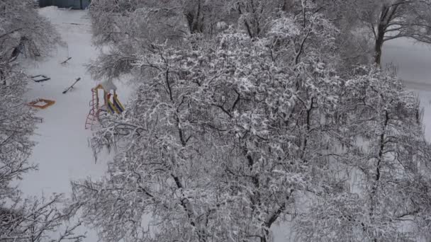 La nieve de la ciudad cayó — Vídeo de stock