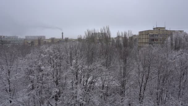 市雪落 — 图库视频影像