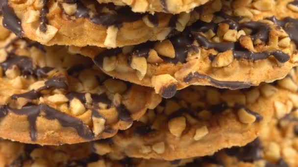Μπισκότα με ξηρούς καρπούς και σοκολάτα — Αρχείο Βίντεο