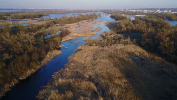 Sobrevoando a lagoa — Vídeo de Stock