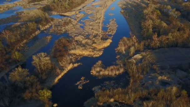 Flying over the pond — Stock Video