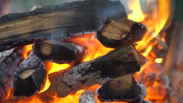 Coals burn in the grill — Stock Video