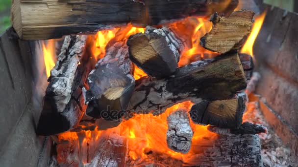 Brandhout brandt in de grill. — Stockvideo