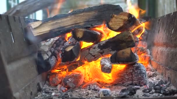 Brandhout brandt in de grill. — Stockvideo