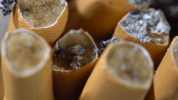 Tapones de cigarrillos en el cenicero — Vídeos de Stock