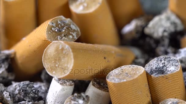 Cigarette stubs in the ashtray — Stock Video