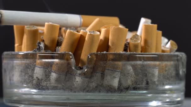 Тлеющие сигареты в пепельнице — стоковое видео