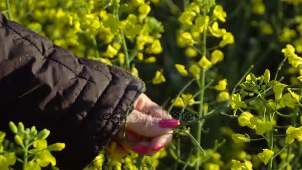A girl takes a rape-flower hand. Slow motion — Stock Video