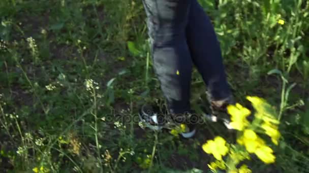 菜種のフィールド上を歩いている女の子 — ストック動画