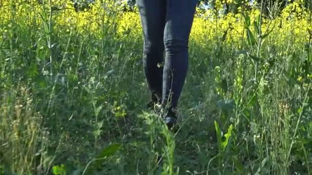 La ragazza sta camminando sul campo di colza — Video Stock