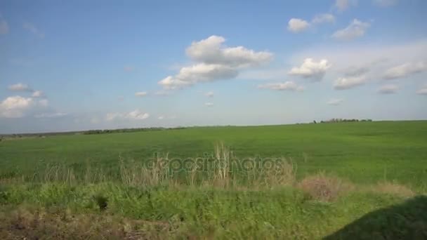 Disparos desde la ventana de un coche — Vídeo de stock